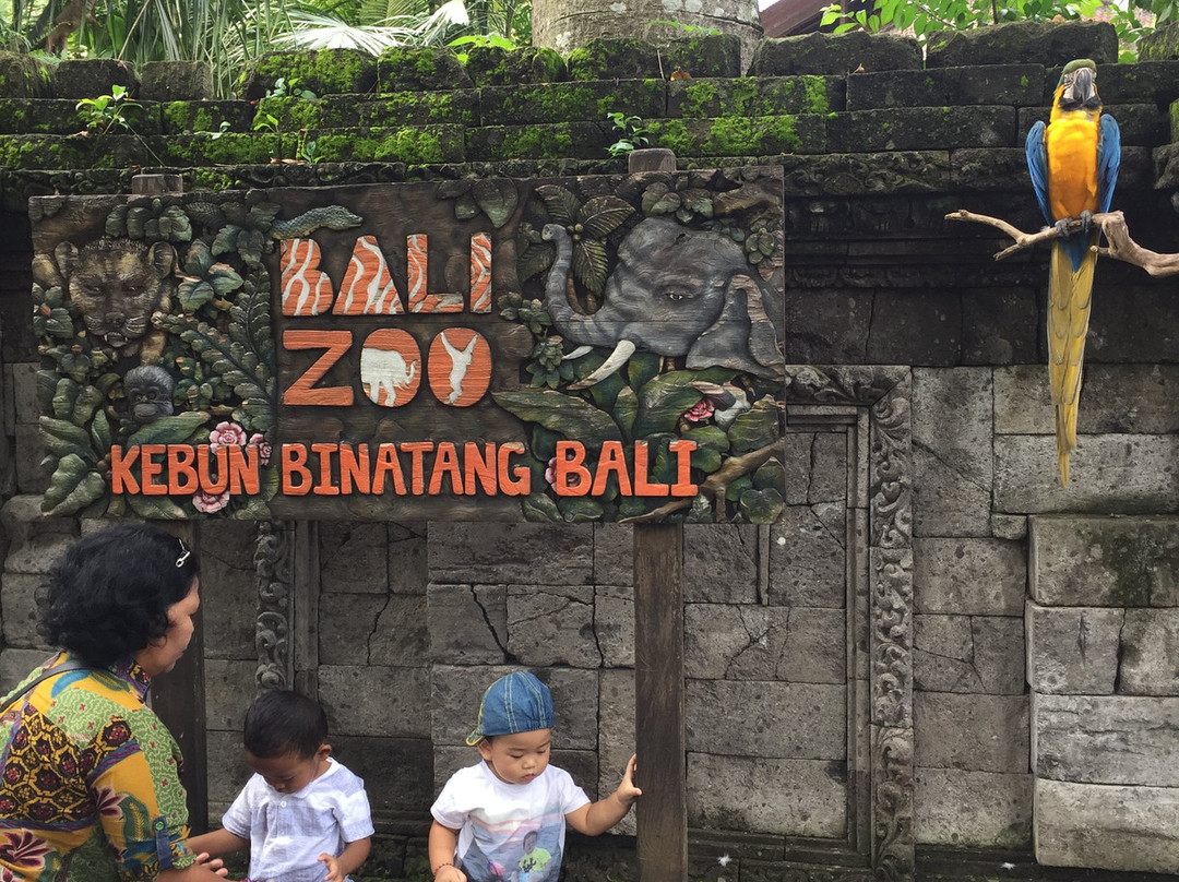 Bali Rent Car With Driver-库塔必去景点