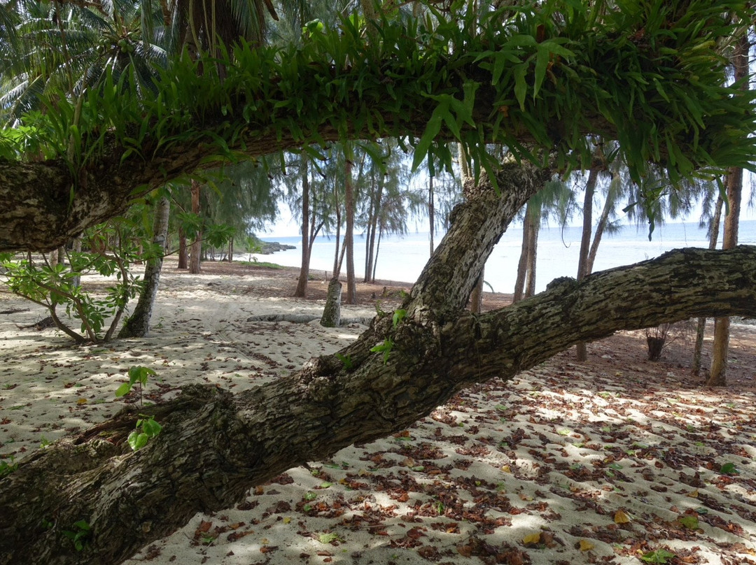 Chulu Beach-Tinian必去景点
