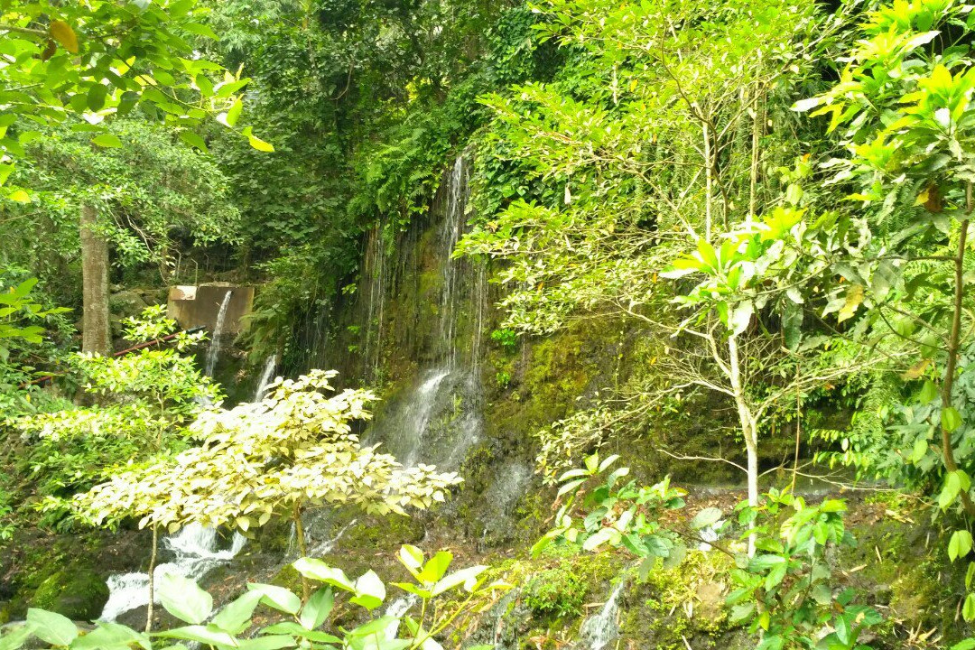 Animal Market-Masbagik必去景点