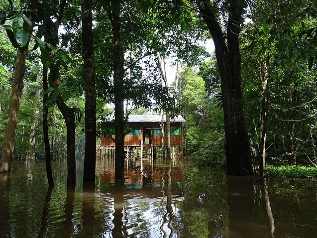 Amazon Maguta Jungle Lodge景点图片