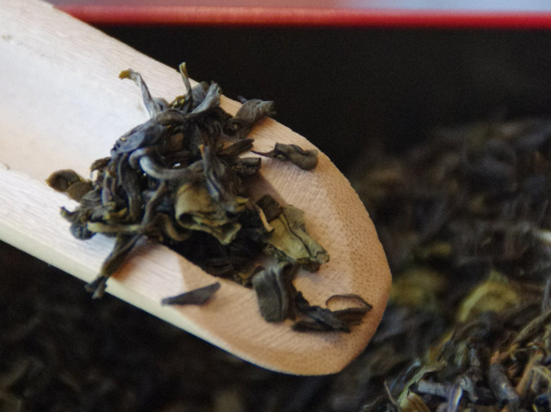 Espace Tui Na-里昂必去景点