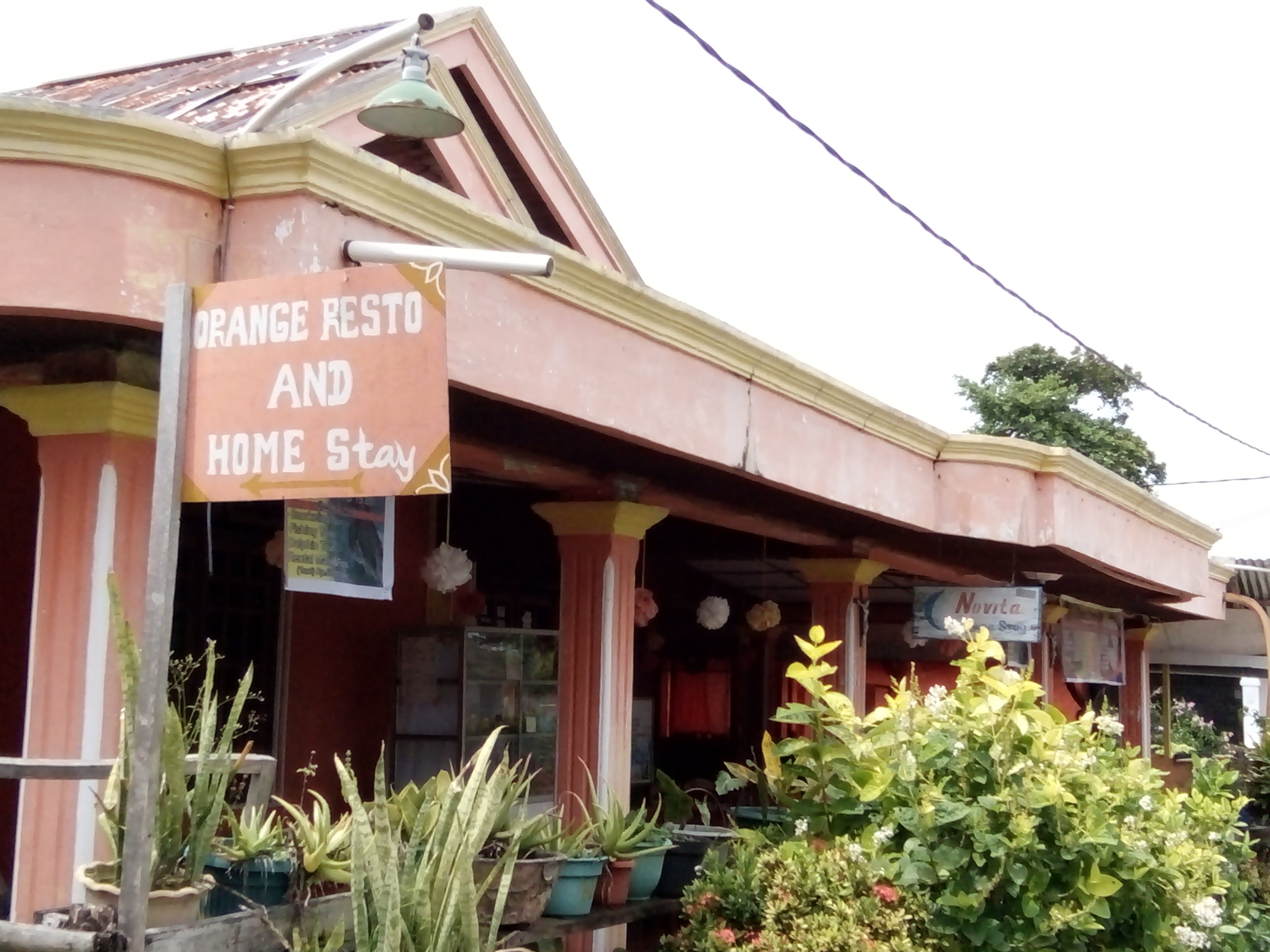 Novita Homestay-官方