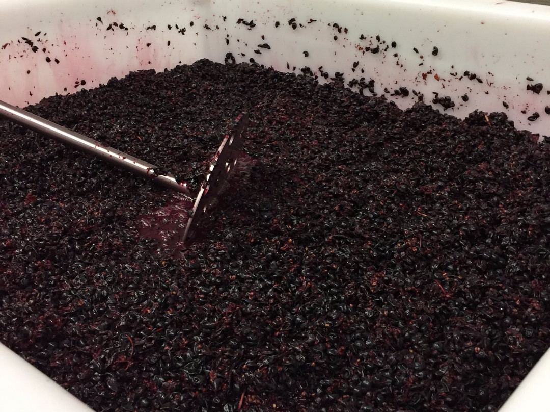 Bell Springs Winery & Brewery-Dripping Springs必去景点