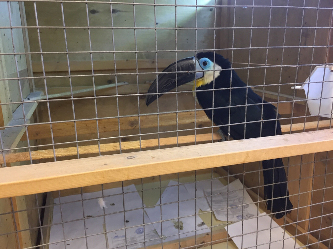 Tomas Petting Zoo-Yoshkar-Ola必去景点