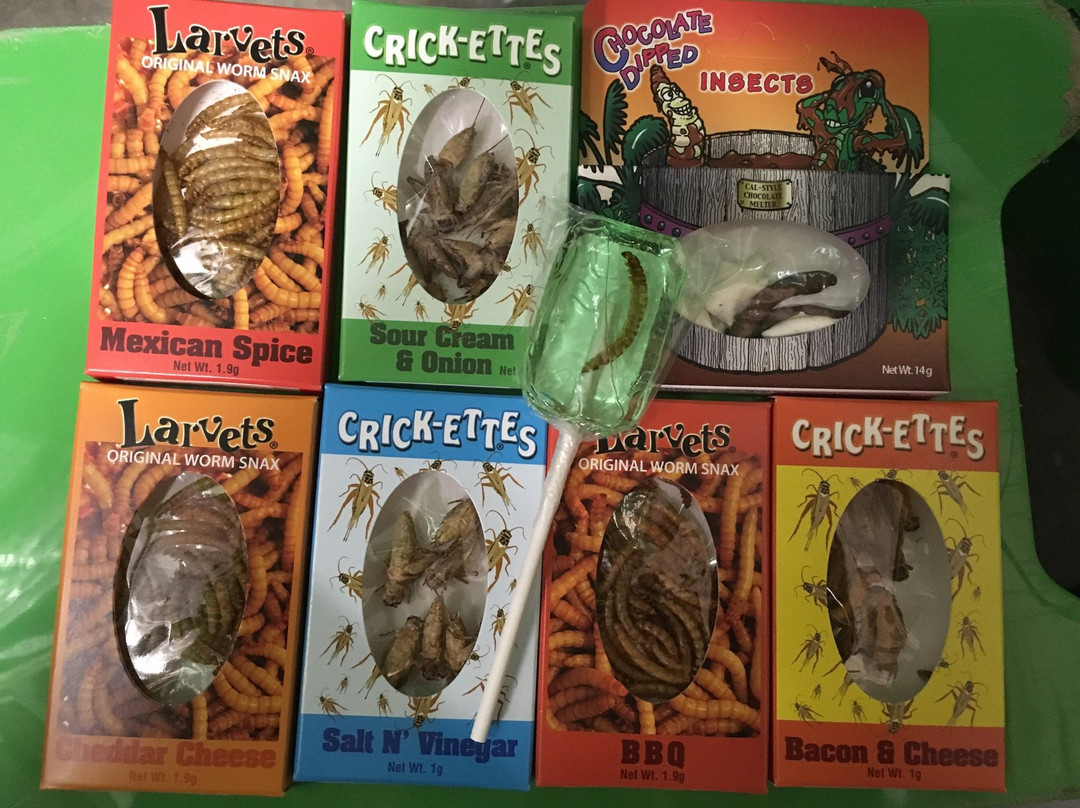 Sticky's Candy and Toys-Fort St. John必去景点