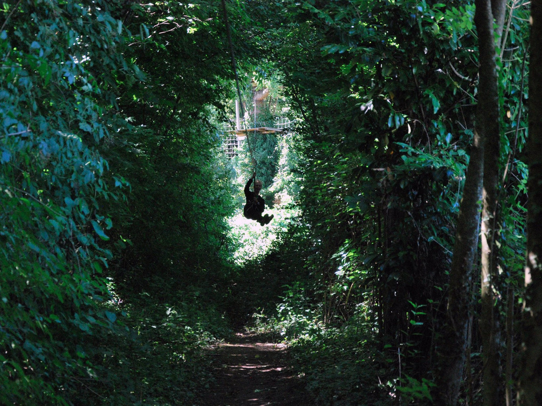 Parcours Aventure de Sciez景点图片