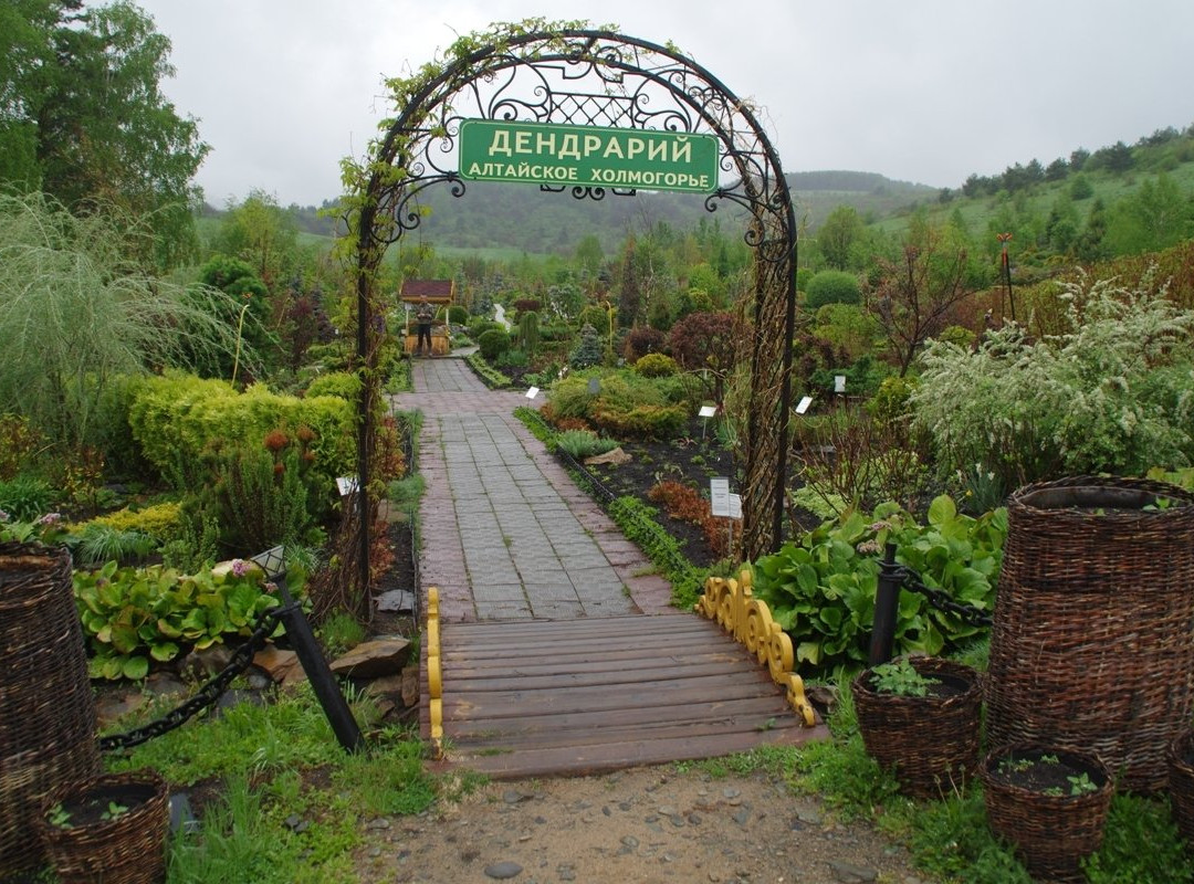 Altaiskoye旅游攻略图片