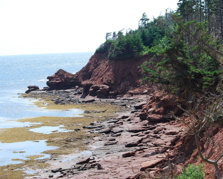 Sally's Beach Provincial Park-Montague必去景点