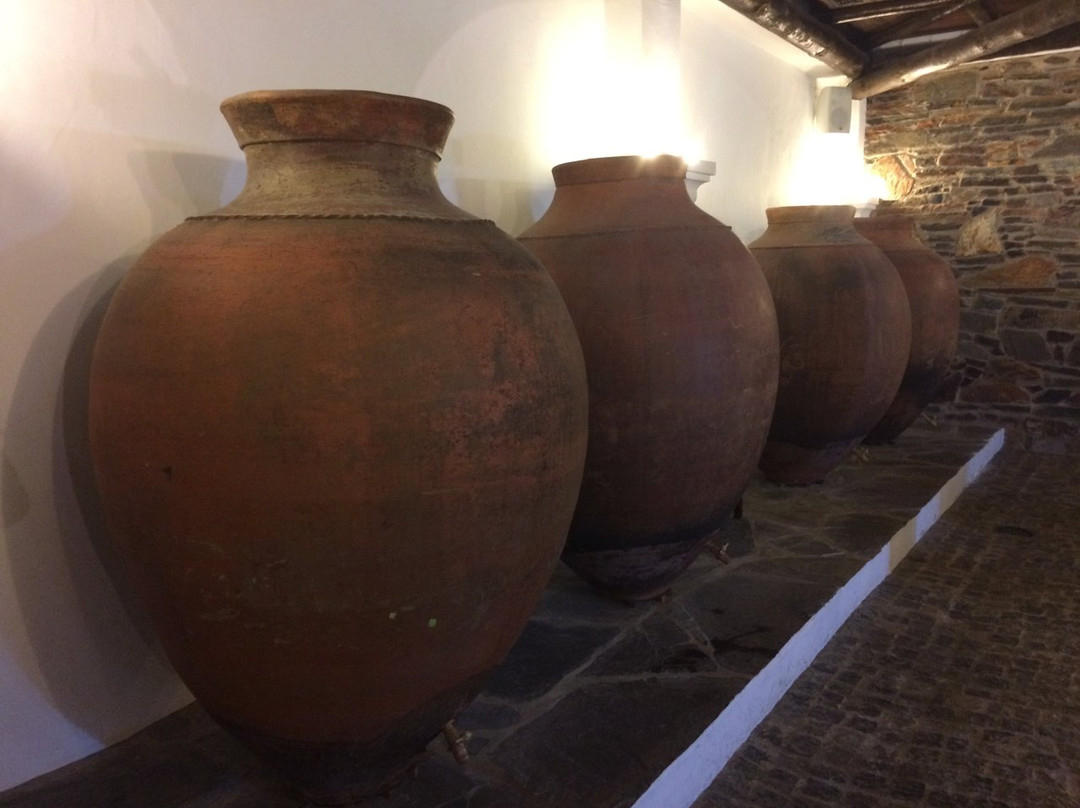 Carmim-Reguengos de Monsaraz必去景点