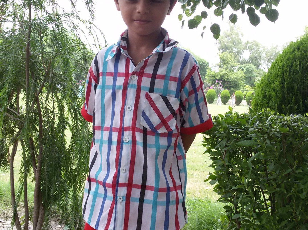 Lal Suhanra National Park-Bahawalpur必去景点