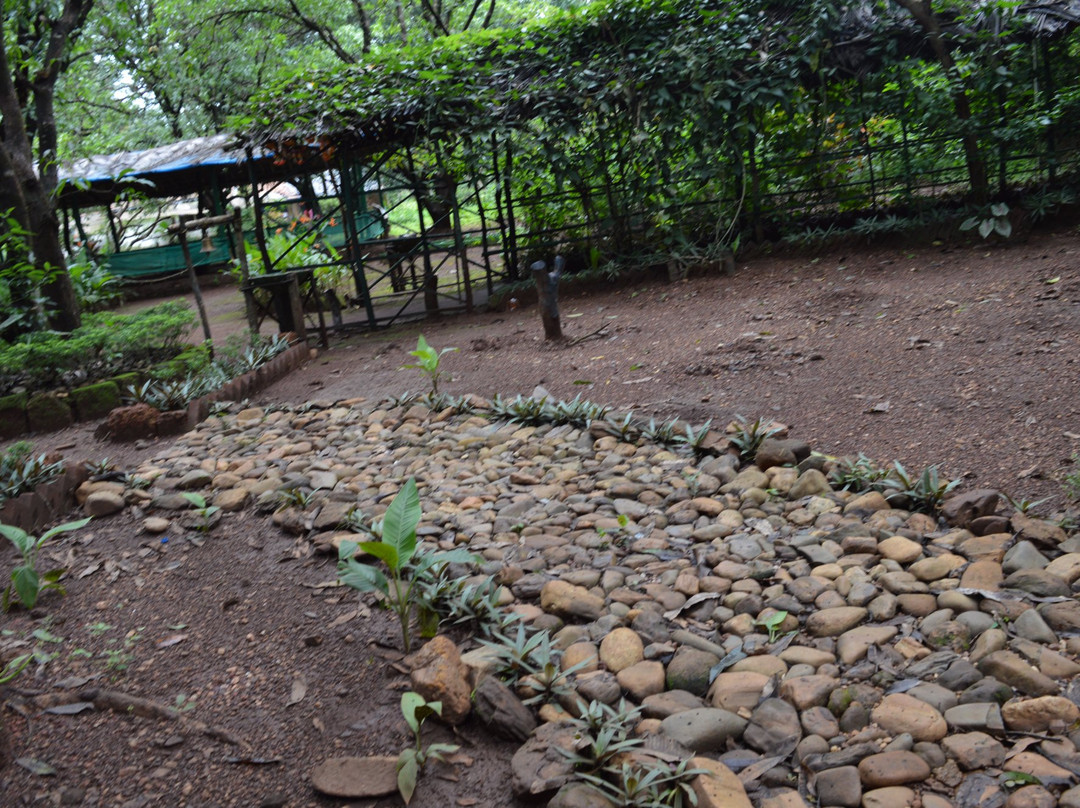 Sahyadri Spice Farm-巴德士必去景点