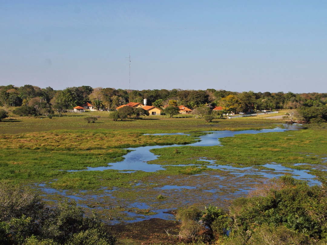 Refugio Ecologico Ararauna