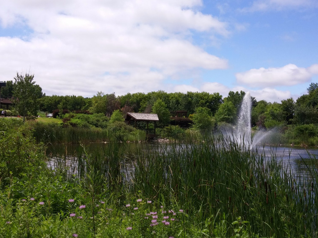 Millennium Garden-Plymouth必去景点