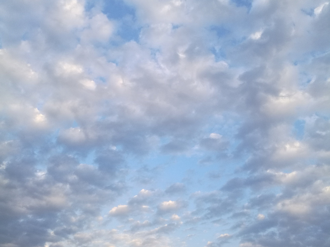 御道口牧场-围场县必去景点