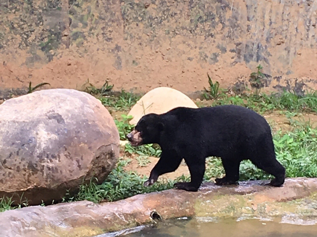 Tagal Tinopikon Park-兵南邦必去景点
