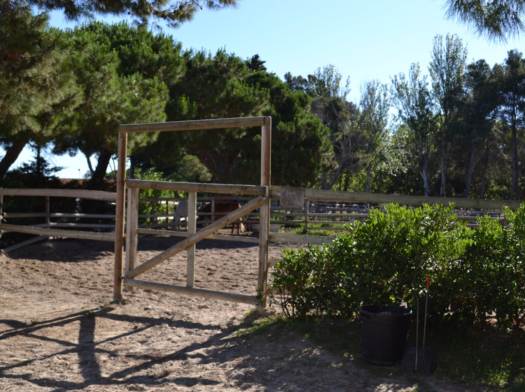 Centre équestre des Pyramides-拉格朗德默特必去景点