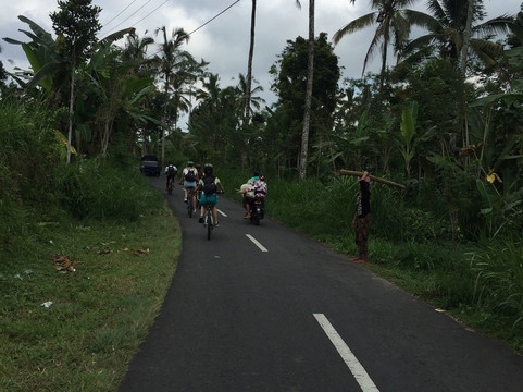 Bali Rocky Mountain Cycling Tour-乌布必去景点