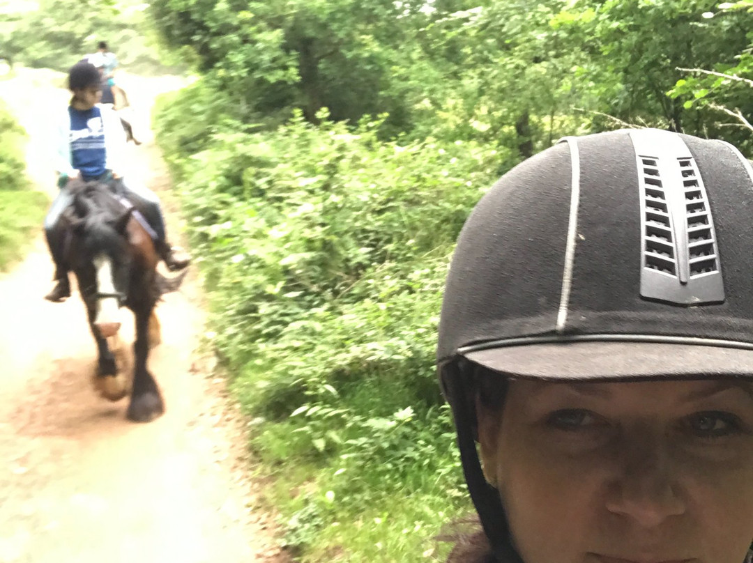 Quantock Trekking景点图片