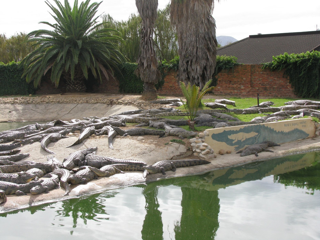 Simondium旅游攻略图片