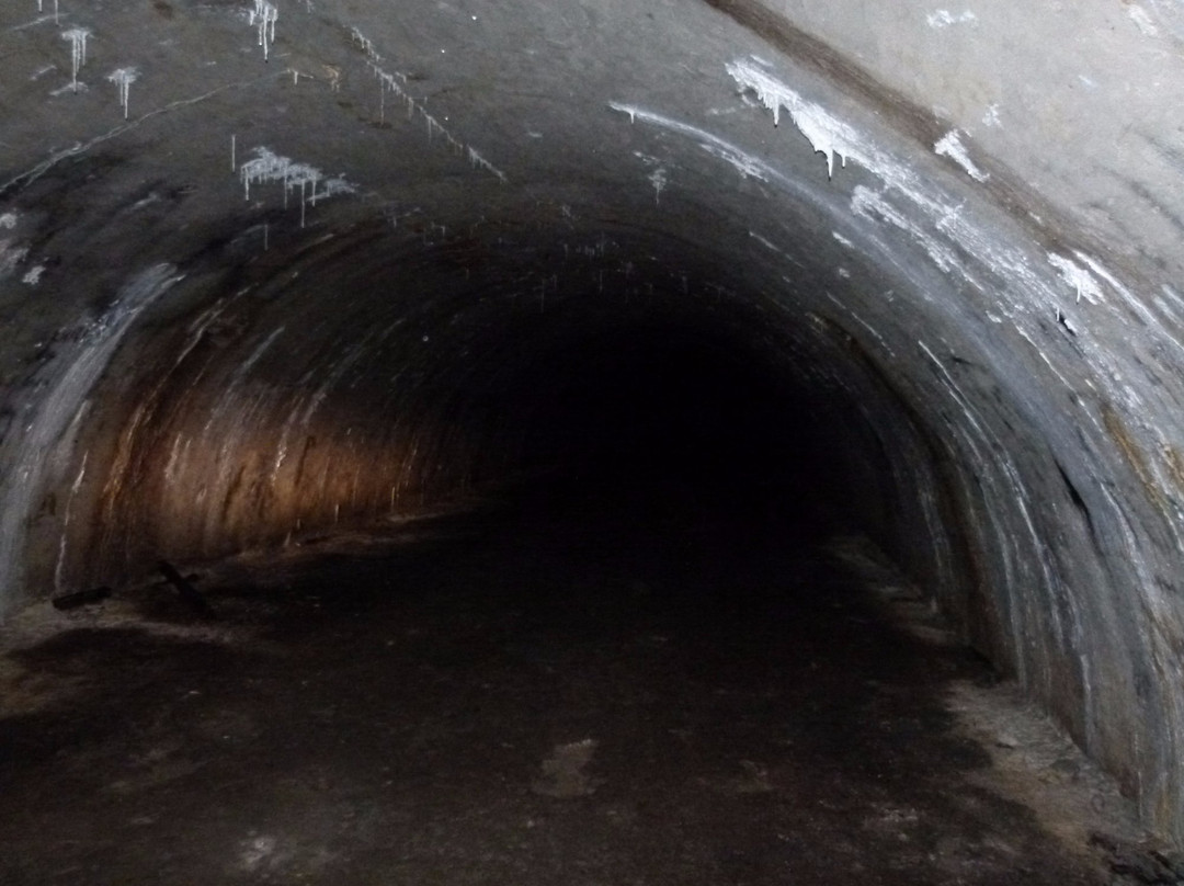 Church of Sts. Stanislaw Bishop and Martyr-Frydman必去景点