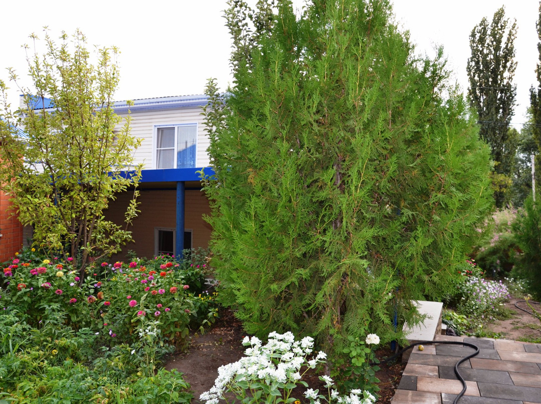 Guest House Volna主图