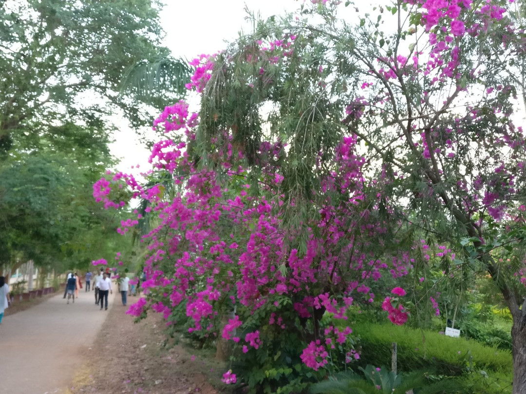Kadri Hill Park-芒加罗必去景点