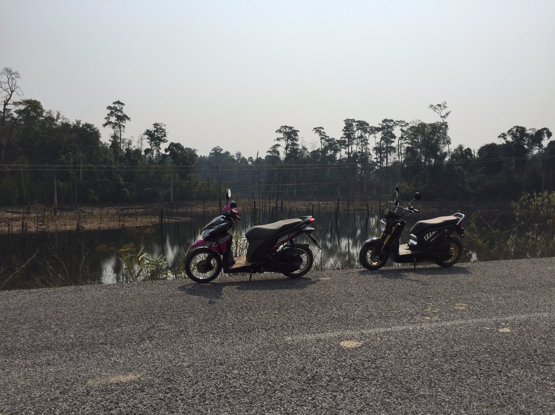 Mad Monkey Motorbike景点图片