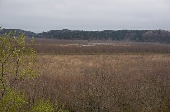 Bekkanbeushi Wetland-厚岸町必去景点