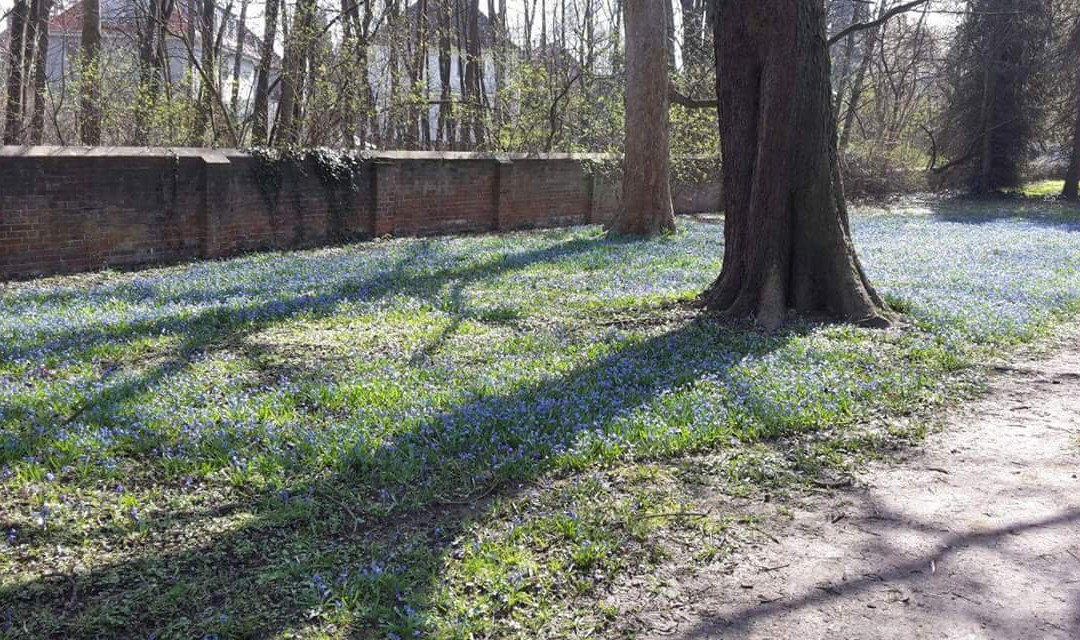 Lindener Bergfriedhof-汉诺威必去景点