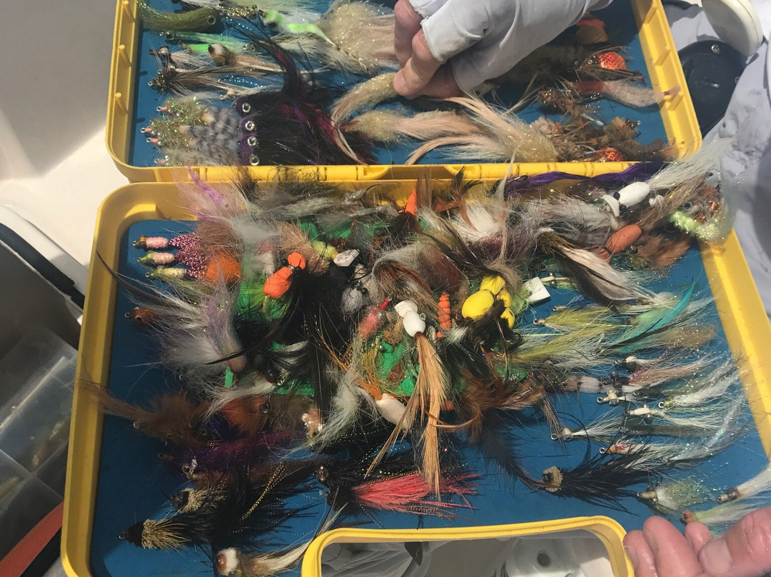 Fish The Salt-那不勒斯必去景点