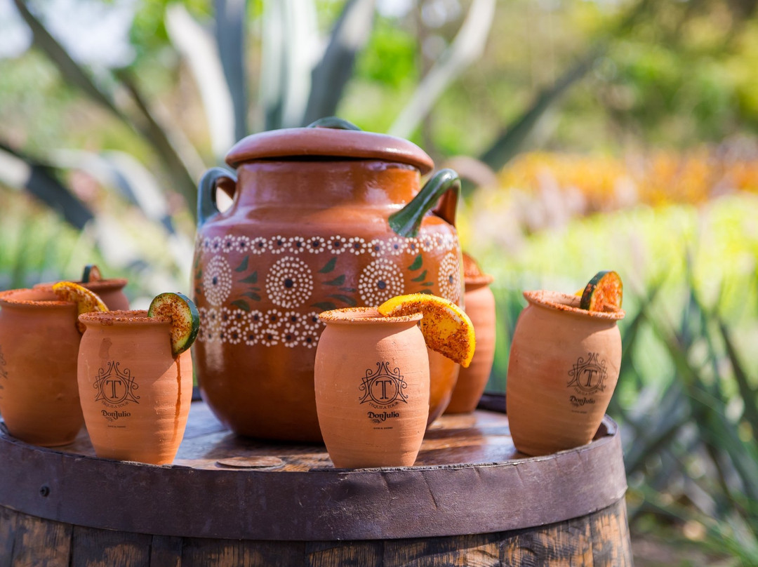 Tequila Tour Vidanta-新瓦雅塔必去景点