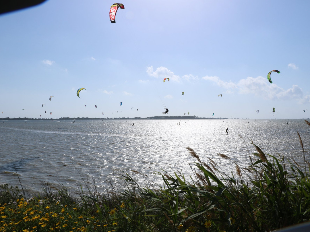 Sicily Kite School-马尔萨拉必去景点