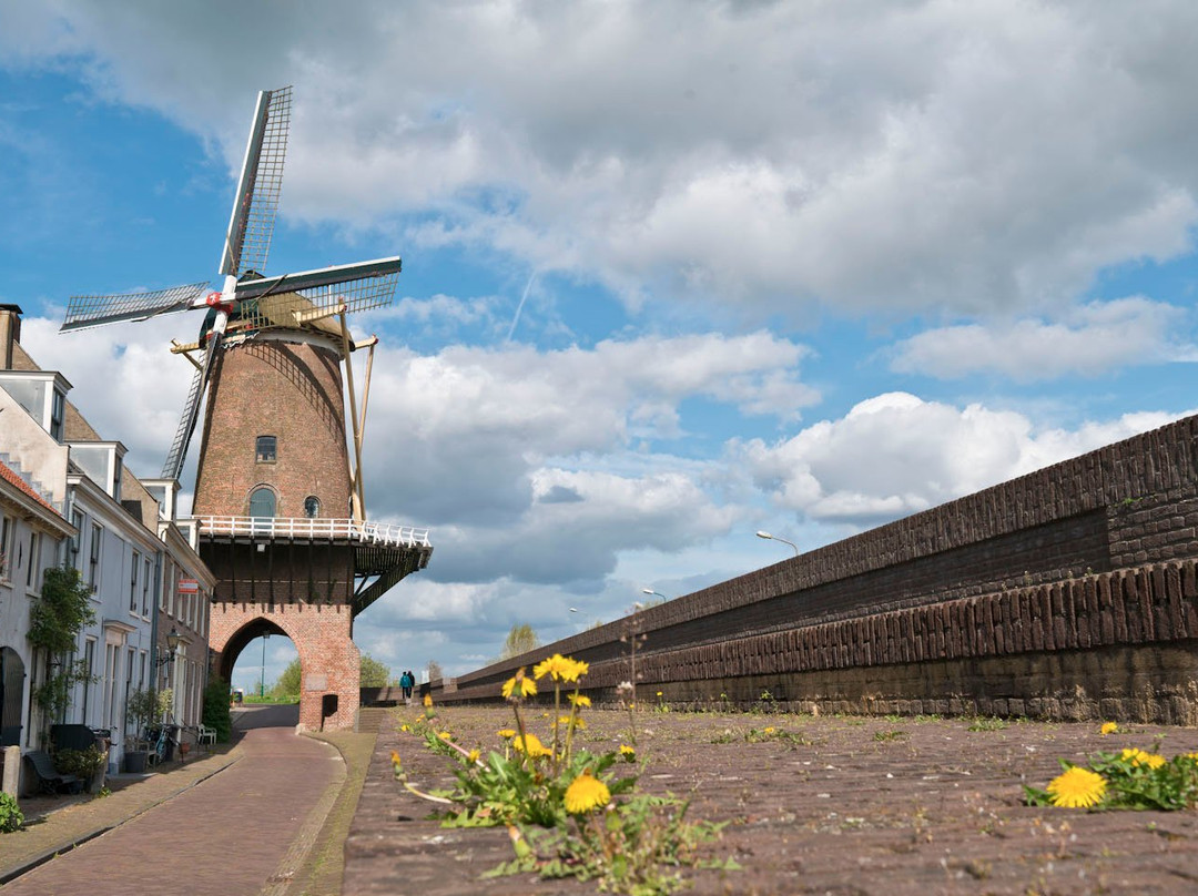 Rijn en Lek Windmill景点图片