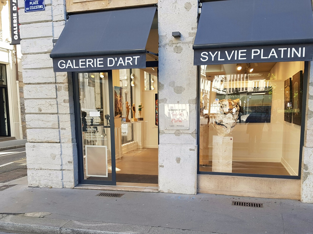Galerie d'Art Sylvie Platini-里昂必去景点