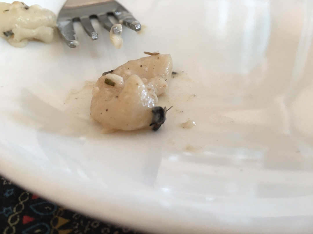 Hotel Grand Riviera主图