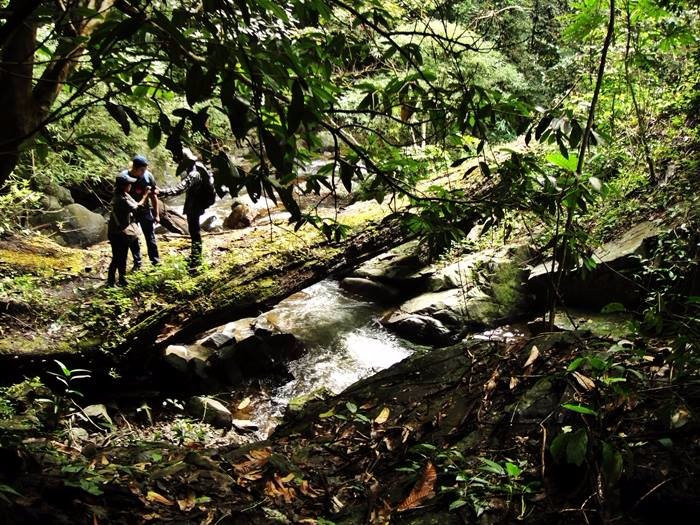 Tat Mok National Park-碧差汶必去景点