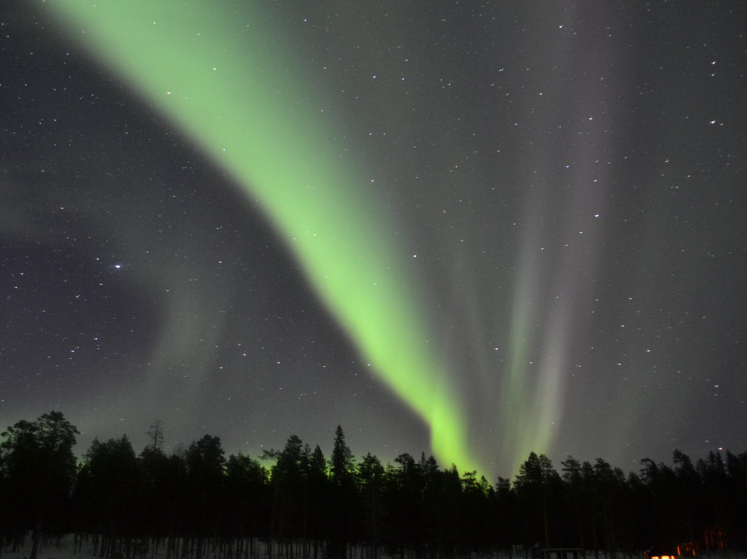 Wild About Lapland-罗瓦涅米必去景点
