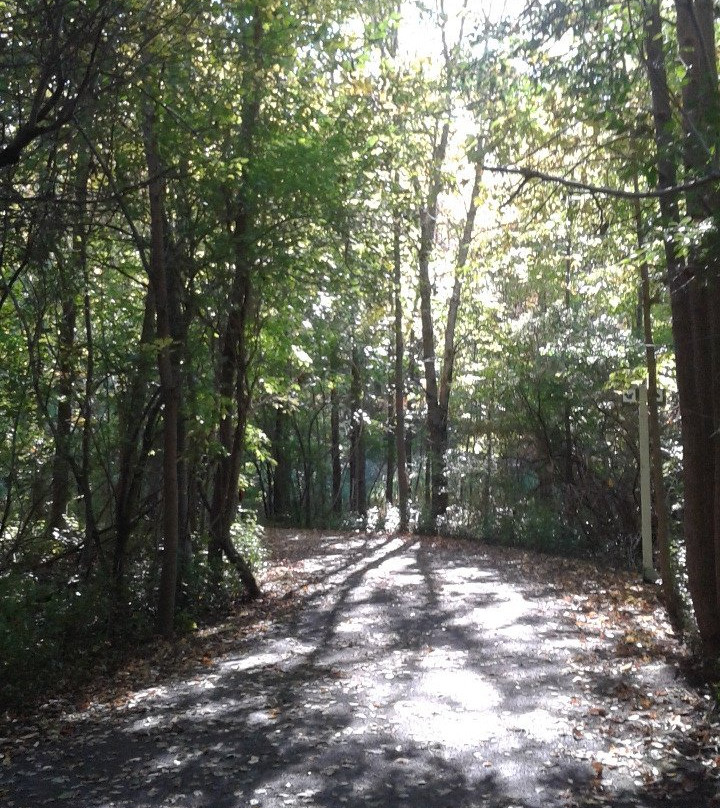Parc Regional de la Pointe-aux-Prairies-蒙特利尔必去景点
