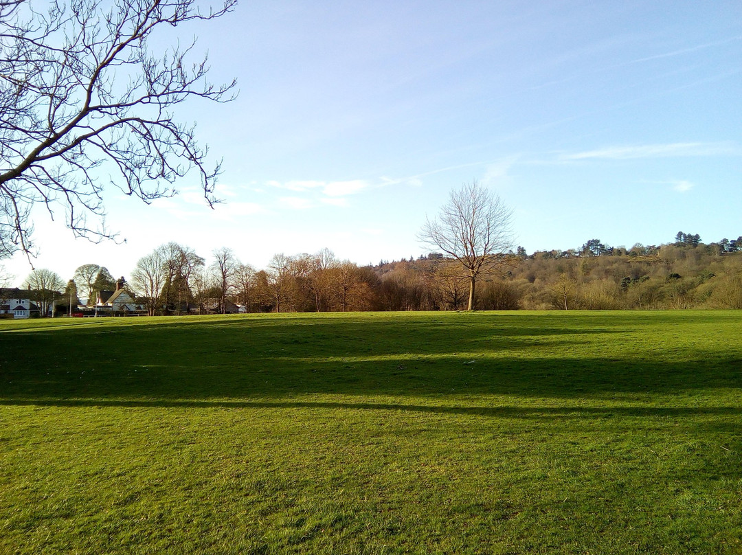 Cofton Park景点图片