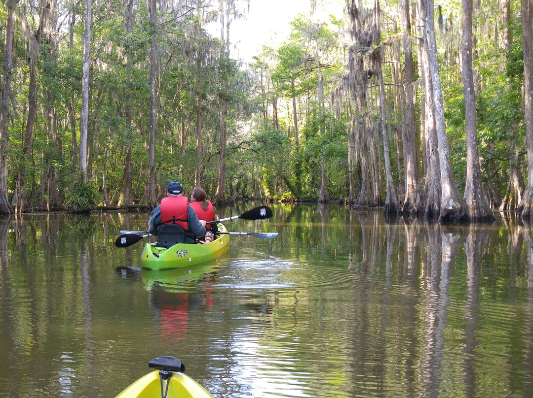 Kayaking Florida Waters景点图片