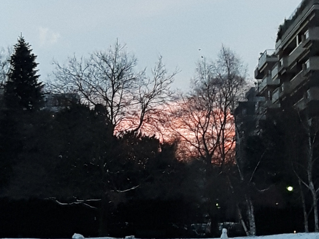 Parc Bertrand-日内瓦必去景点