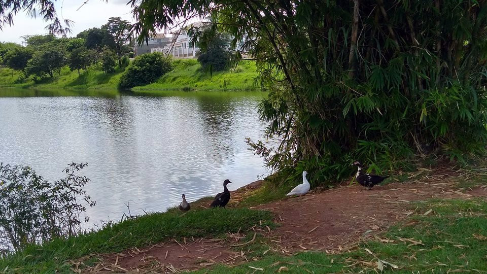 Nova Ourinhos lake景点图片