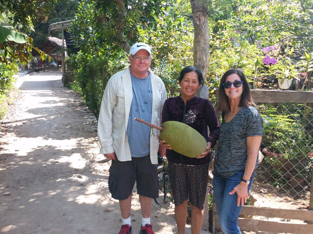 Mekong Silt-胡志明市必去景点