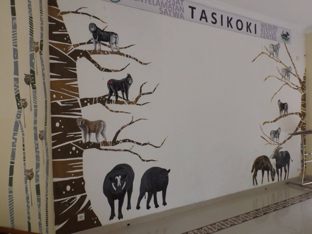 Tasikoki Wildlife Rescue Center景点图片