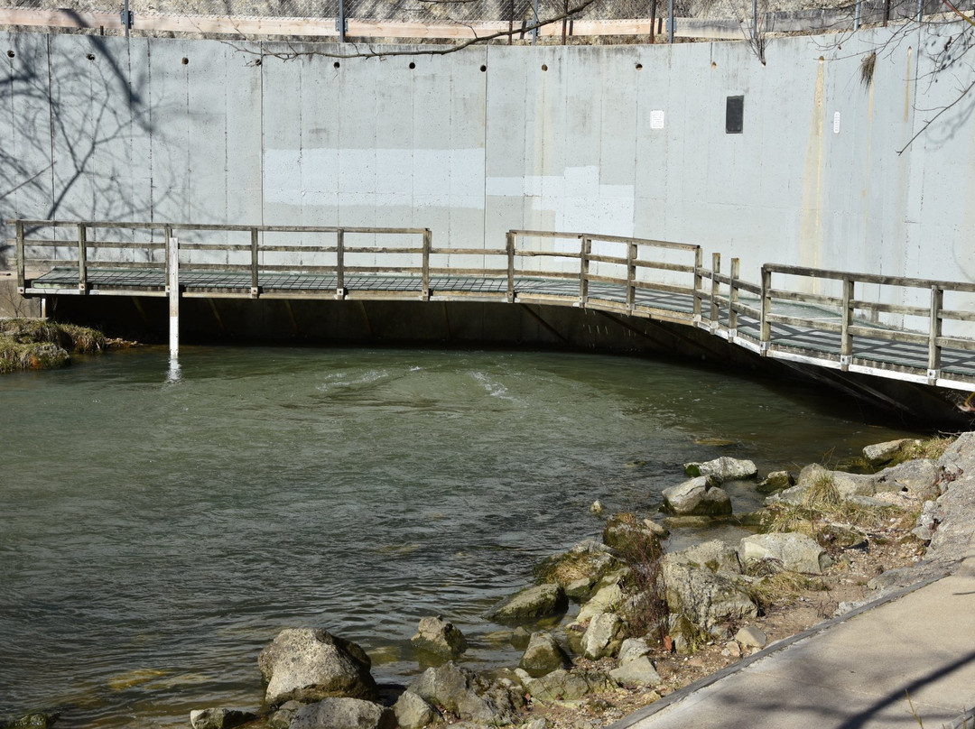 Roubidoux Creek & Spring-Waynesville必去景点