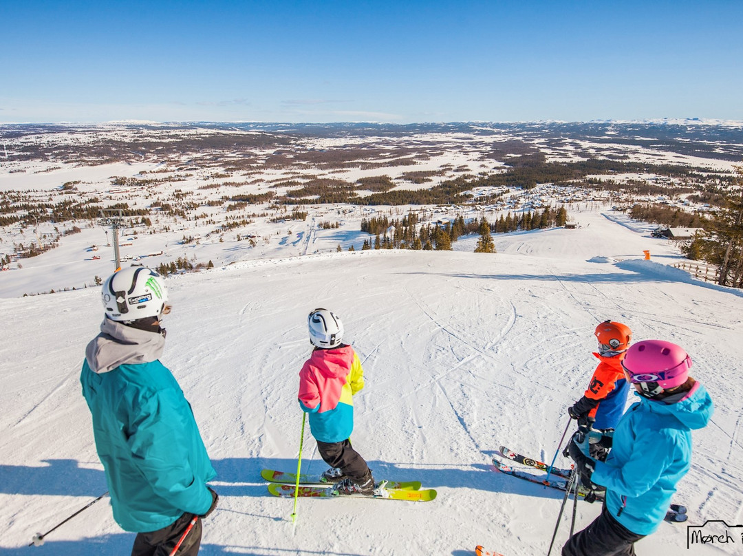 Golsfjellet Alpinsenter-Golsfjellet必去景点
