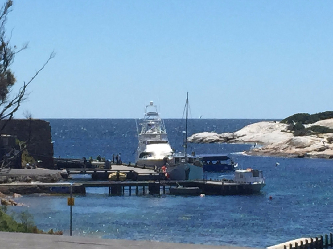 Sea-All Fishing and Marine Tours景点图片