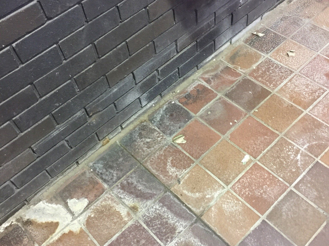 Wyndley Leisure Centre-萨顿科尔菲尔德必去景点