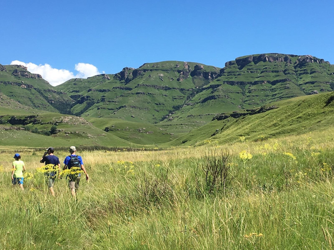 Cobham Nature Reserve-Himeville必去景点