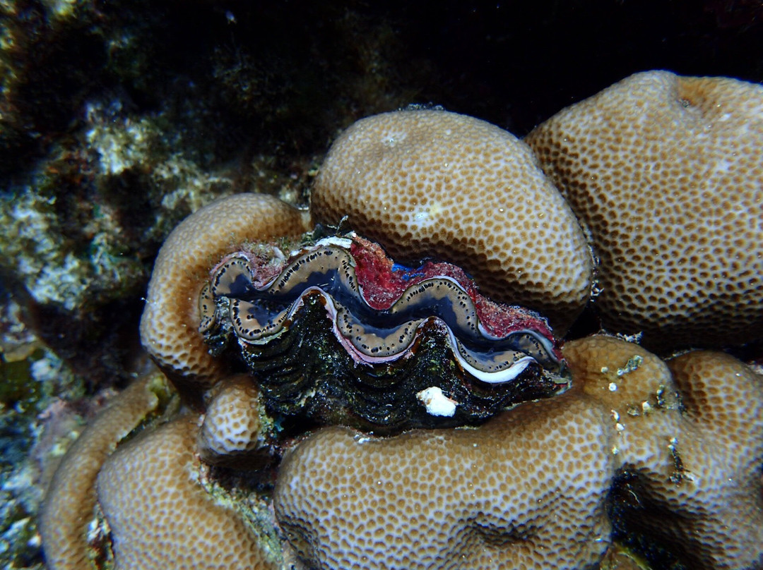 Tachogna Beach-Tinian必去景点